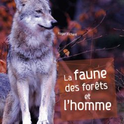 faune-forets-homme