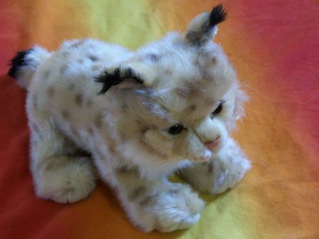 peluche-lynx-boutique-ferus