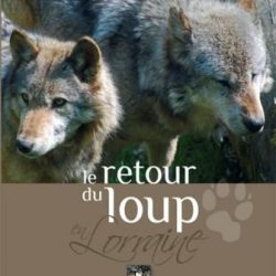 retour-du-loup-lorraine