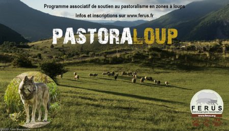 pasto2017