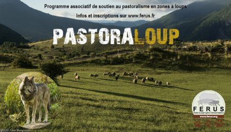 pasto2017