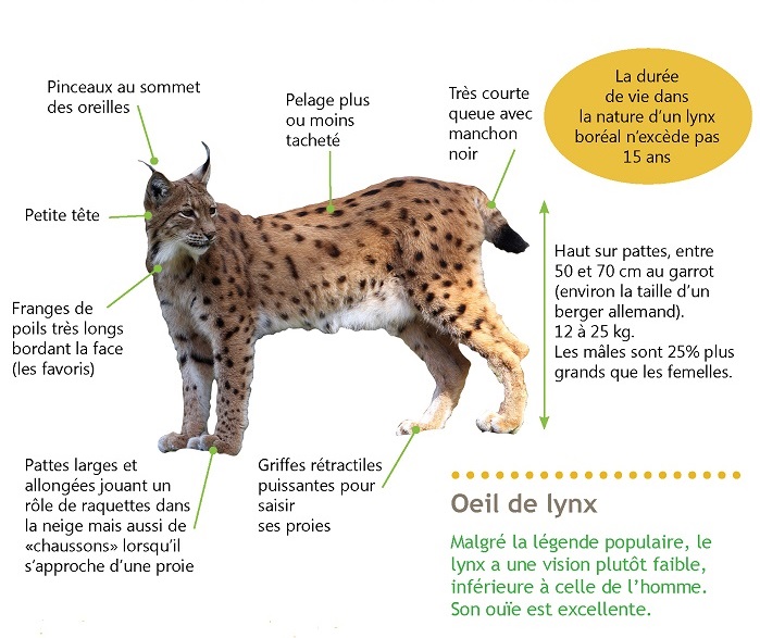 Biologie - FERUS