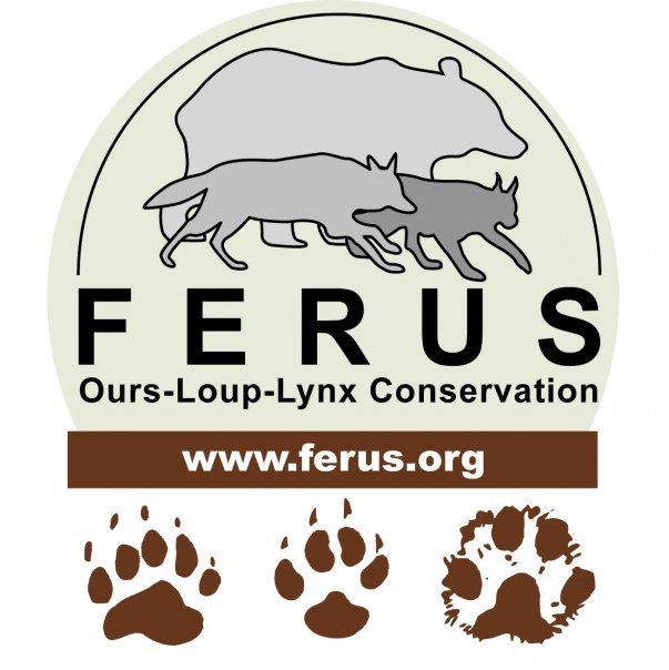 Conservation et présence en France - FERUS
