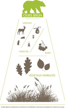 ours alimentation FERUS