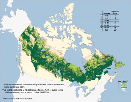 forêt boréale canada