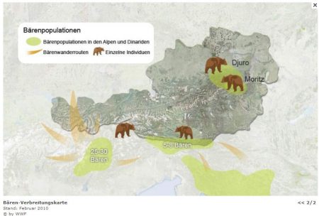 carte ours autriche wwf