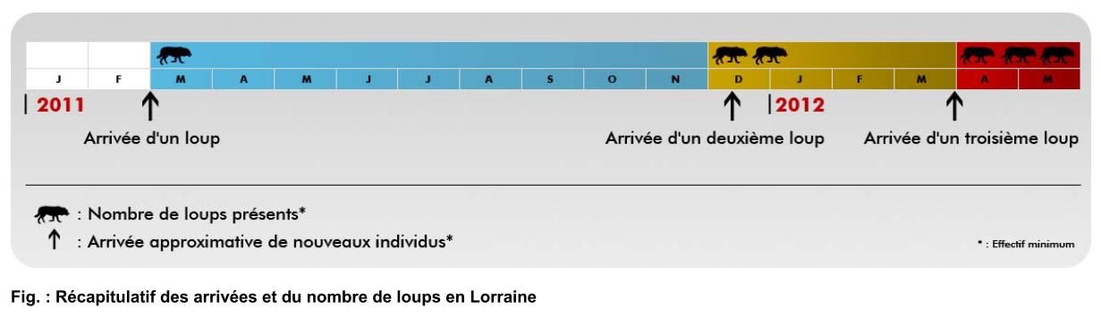 récap-retour-loup-lorraine