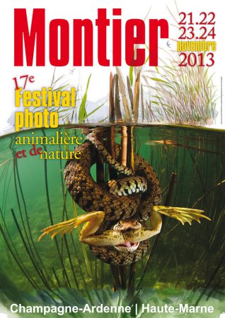 montier 2013