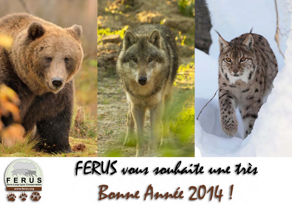 ferus-bonne annee 2014