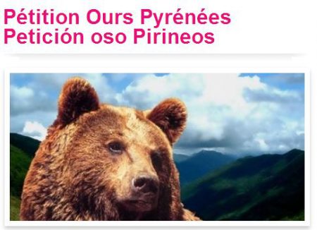 pétition-ours-pyrénées