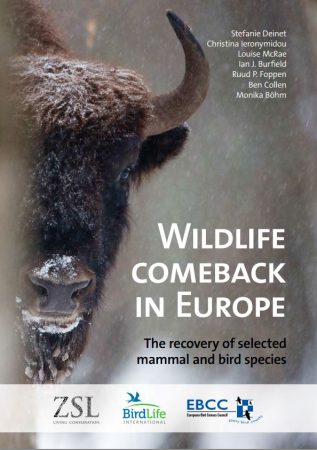 wildlife comeback in europe