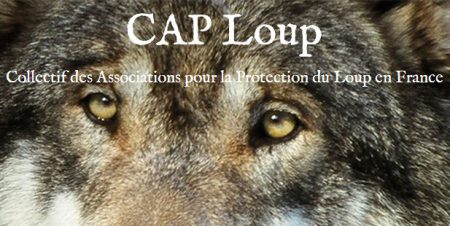 cap loup site