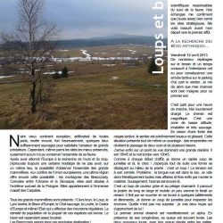 Bieszczady - Chaumeil -  gazette 49