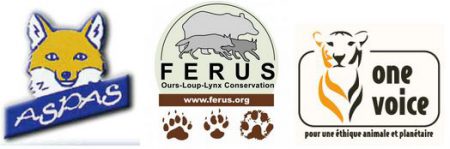 ferus-aspas-onevoice