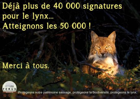 lynx petition 50000