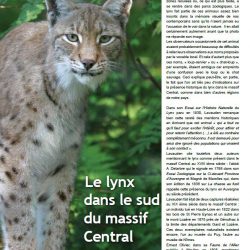 lynx massif central