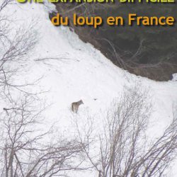 expansion difficile loup france