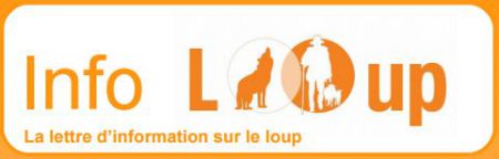 logo info loup