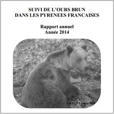 rapport ours 2014