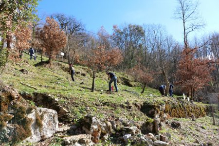 Terrain très pentu, mais chantier pas impossible-puerta (Copier)