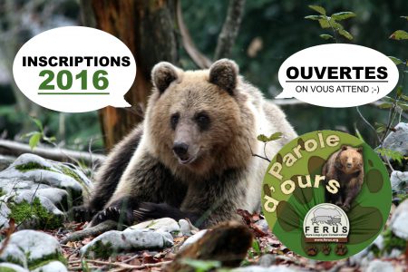 Parole d'ours 2016 inscriptions