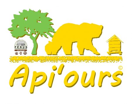 logoApi'ours- Ferus1