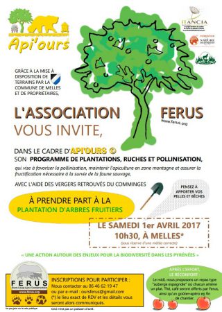 affiche plantation melles 2