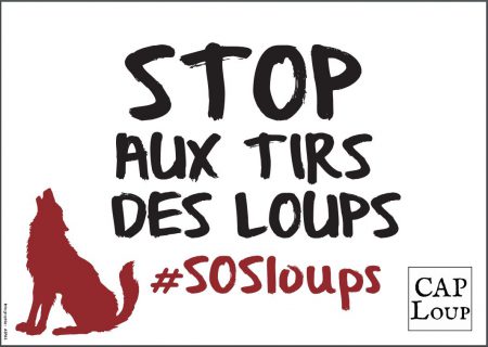 pancarte-#sosloups