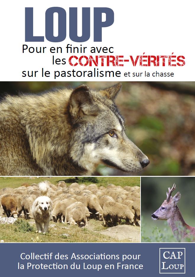 Les loups prolifèrent en France, doit-on s'en réjouir ?