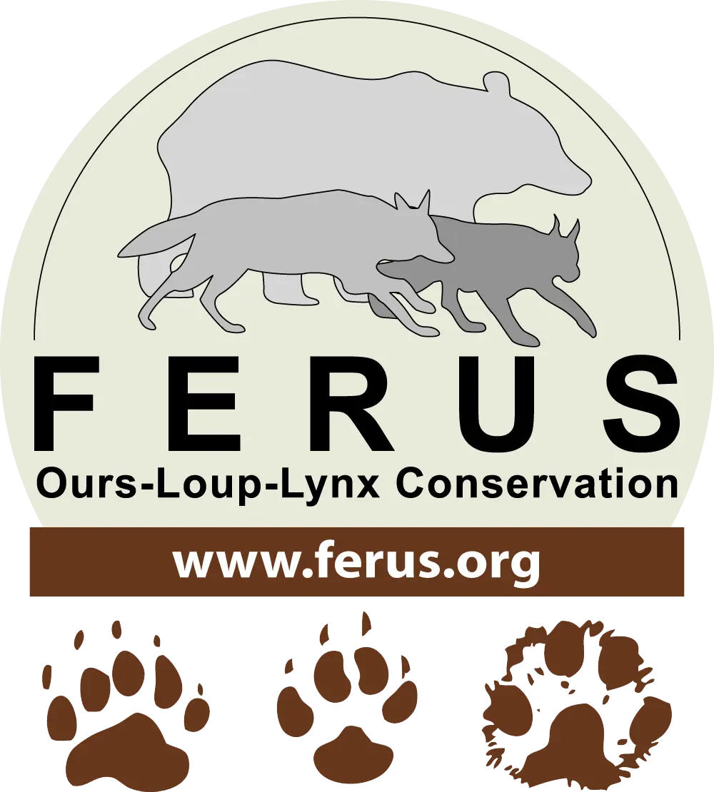 FERUS