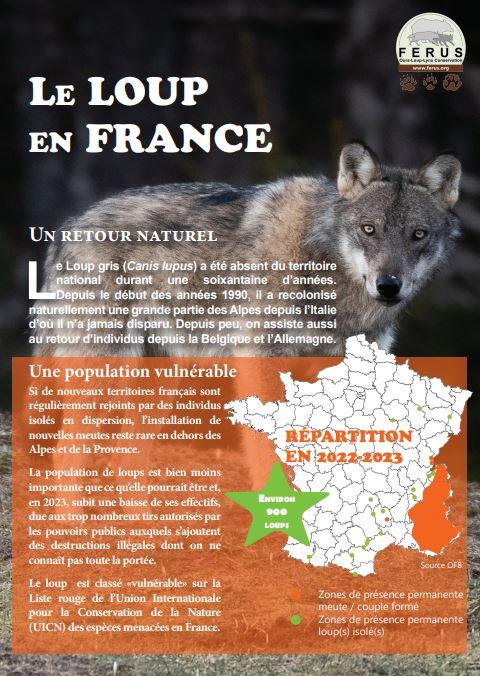 Loup en Dordogne : une observation « authentifiée » en 2023