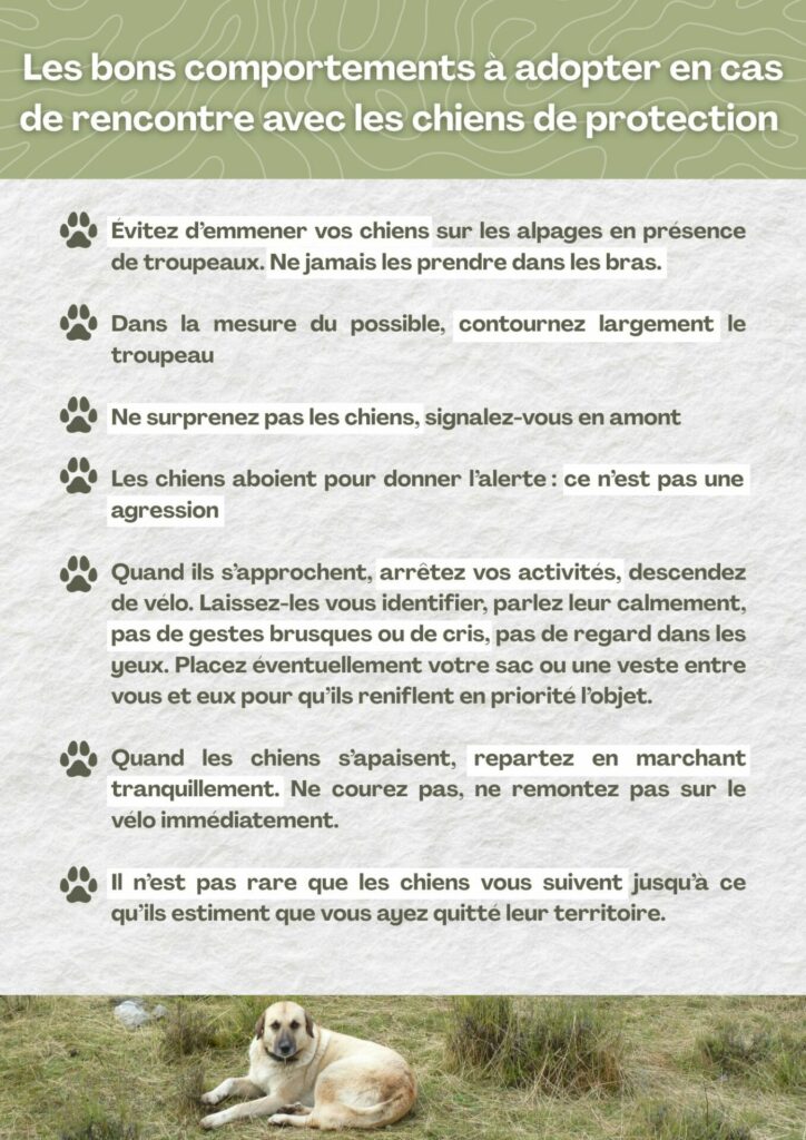 Bons comportements CPT